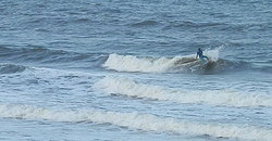 141008pm-eagle (3).jpg